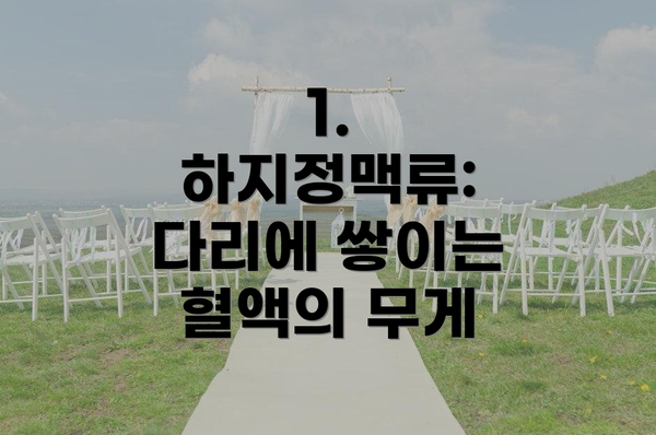 1. 하지정맥류: 다리에 쌓이는 혈액의 무게
