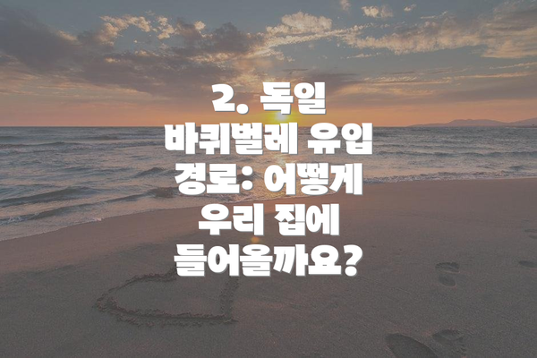 2. 독일 바퀴벌레 유입 경로: 어떻게 우리 집에 들어올까요?