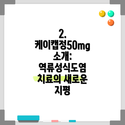 2. 케이캡정50mg 소개: 역류성식도염 치료의 새로운 지평