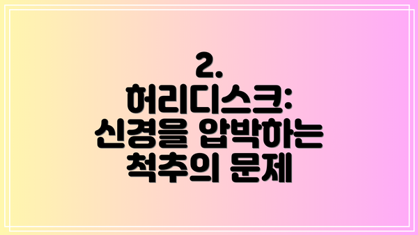 2. 허리디스크: 신경을 압박하는 척추의 문제