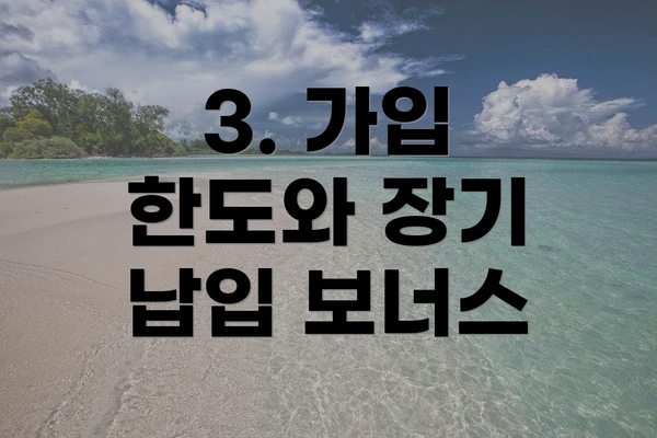 3. 가입 한도와 장기 납입 보너스