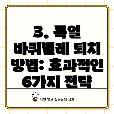 3. 독일 바퀴벌레 퇴치 방법: 효과적인 6가지 전략
