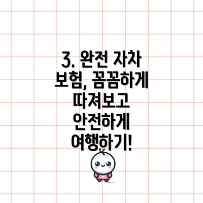 3. 완전 자차 보험, 꼼꼼하게 따져보고 안전하게 여행하기!