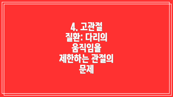 4. 고관절 질환: 다리의 움직임을 제한하는 관절의 문제