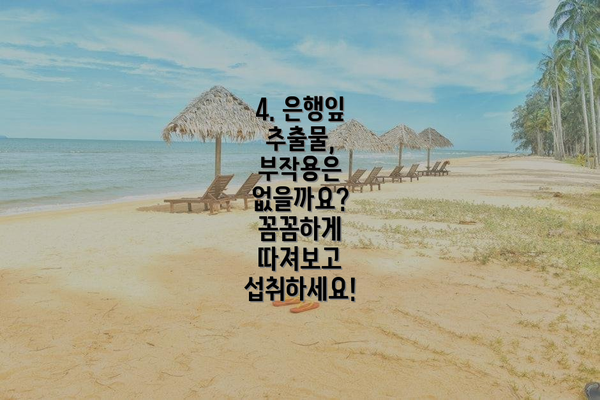 4. 은행잎 추출물, 부작용은 없을까요? 꼼꼼하게 따져보고 섭취하세요!