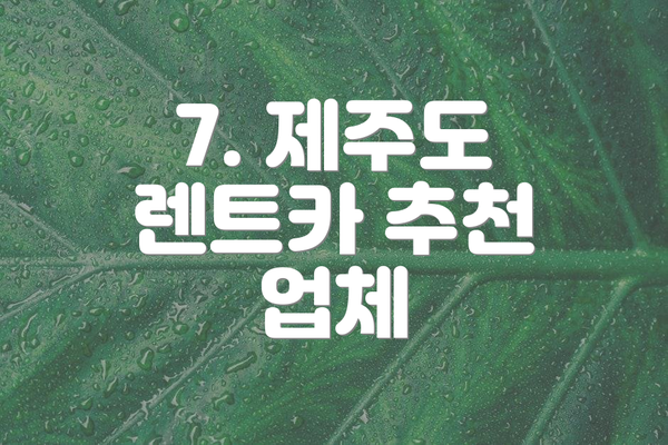 7. 제주도 렌트카 추천 업체