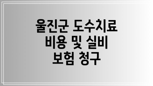 울진군 도수치료 비용 및 실비 보험 청구