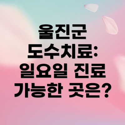 울진군 도수치료:  일요일 진료 가능한 곳은?