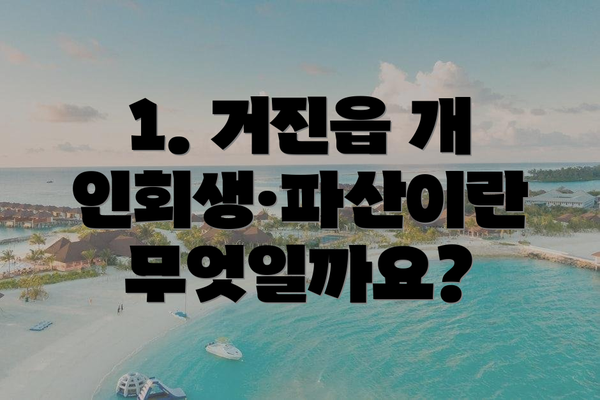 1. 거진읍 개인회생·파산이란 무엇일까요?