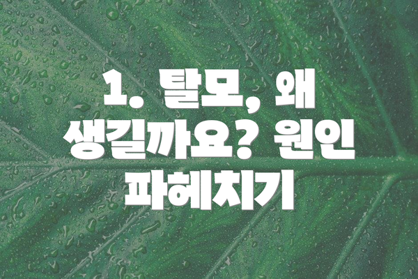 1. 탈모, 왜 생길까요? 원인 파헤치기