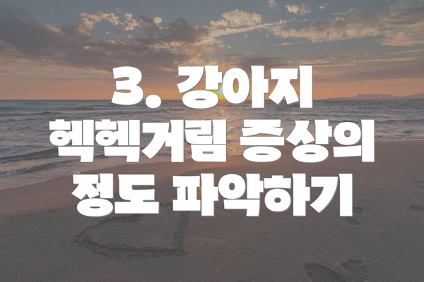 3. 강아지 헥헥거림 증상의 정도 파악하기