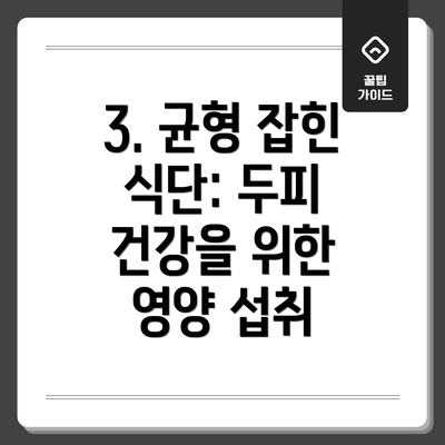 3. 균형 잡힌 식단: 두피 건강을 위한 영양 섭취