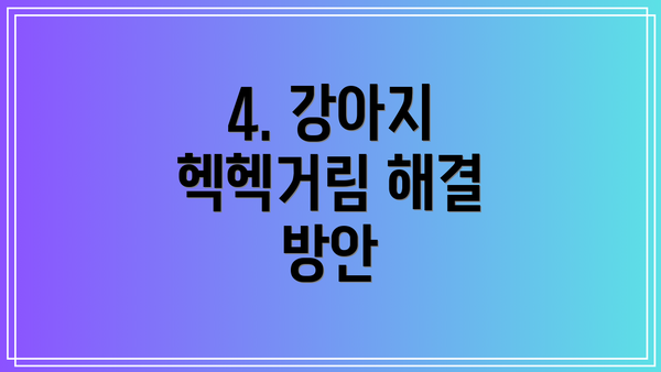4. 강아지 헥헥거림 해결 방안