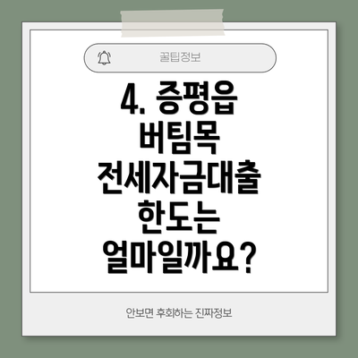 4. 증평읍 버팀목 전세자금대출 한도는 얼마일까요?