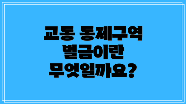 교통 통제구역 벌금이란 무엇일까요?