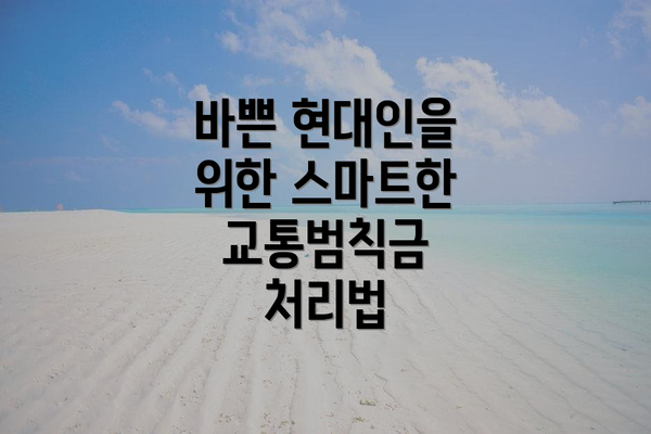 바쁜 현대인을 위한 스마트한 교통범칙금 처리법