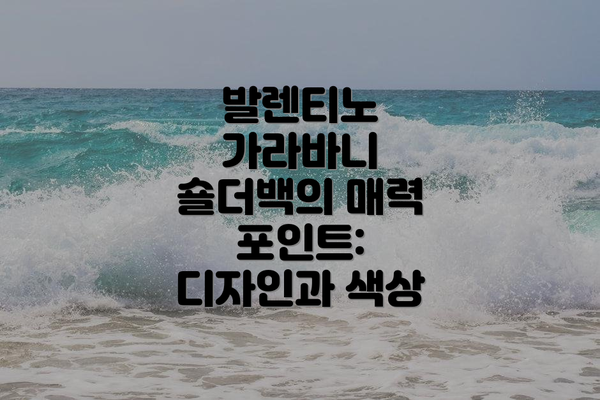 발렌티노 가라바니 숄더백의 매력 포인트: 디자인과 색상