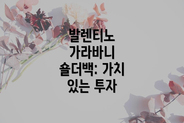발렌티노 가라바니 숄더백: 가치 있는 투자