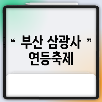 부산 삼광사 연등축제
