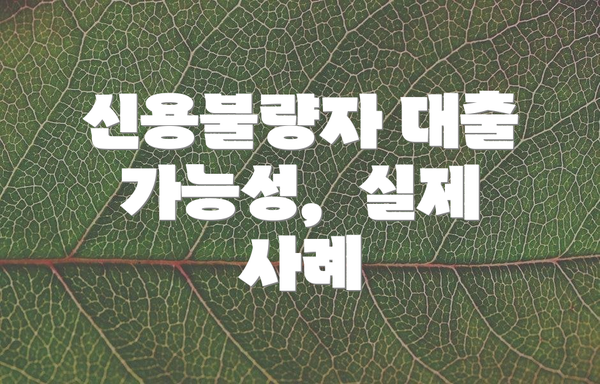 신용불량자 대출 가능성,  실제 사례