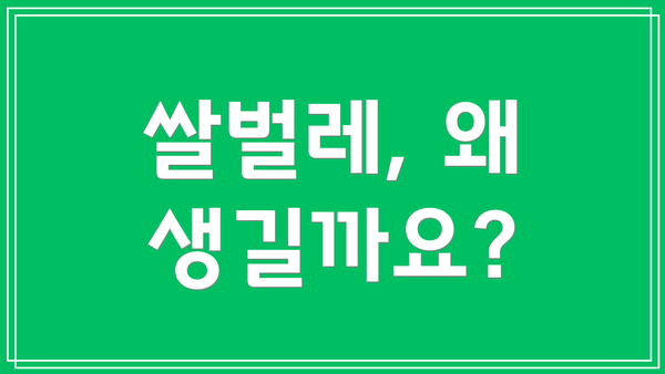 쌀벌레, 왜 생길까요?