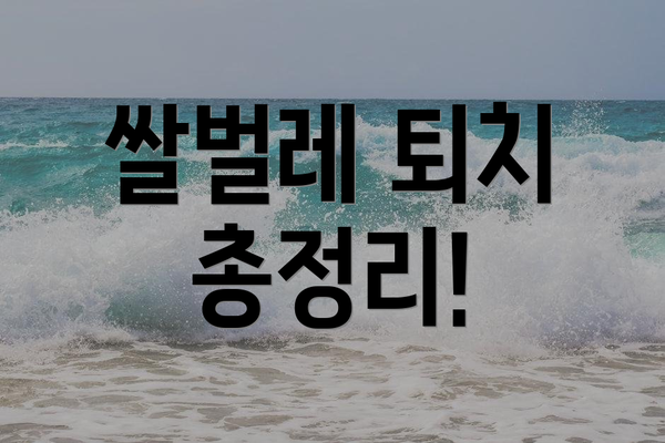 쌀벌레 퇴치 총정리!
