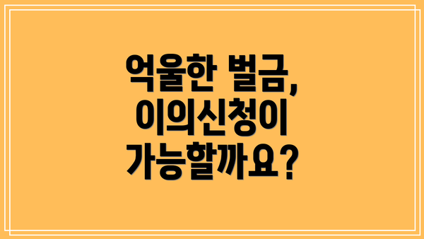 억울한 벌금, 이의신청이 가능할까요?
