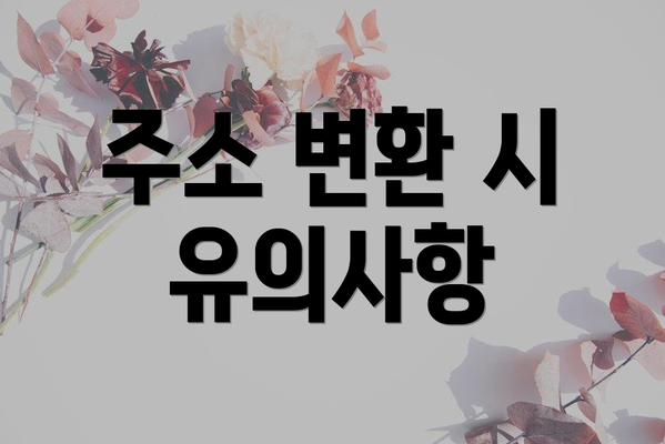 주소 변환 시 유의사항