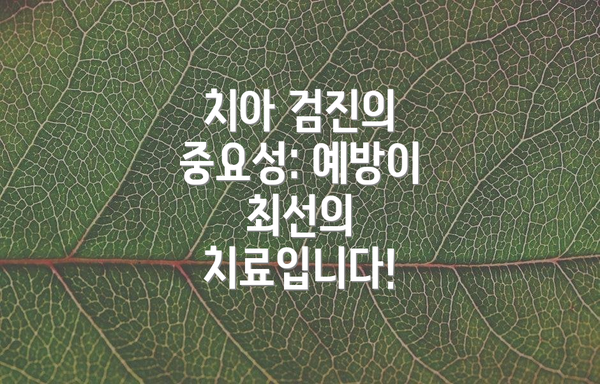 치아 검진의 중요성: 예방이 최선의 치료입니다!