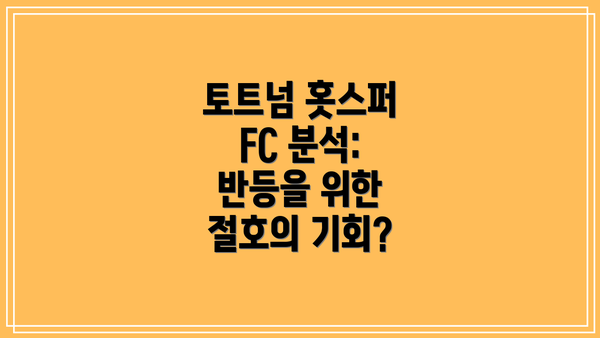 토트넘 홋스퍼 FC 분석:  반등을 위한 절호의 기회?