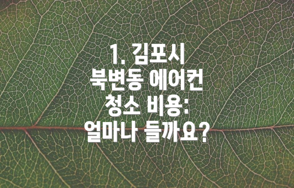 1. 김포시 북변동 에어컨 청소 비용: 얼마나 들까요?