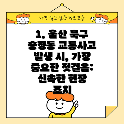 1. 울산 북구 송정동 교통사고 발생 시, 가장 중요한 첫걸음: 신속한 현장 조치