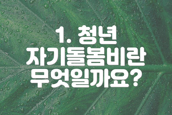 1. 청년 자기돌봄비란 무엇일까요?