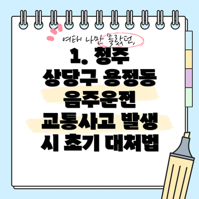 1. 청주 상당구 용정동 음주운전 교통사고 발생 시 초기 대처법