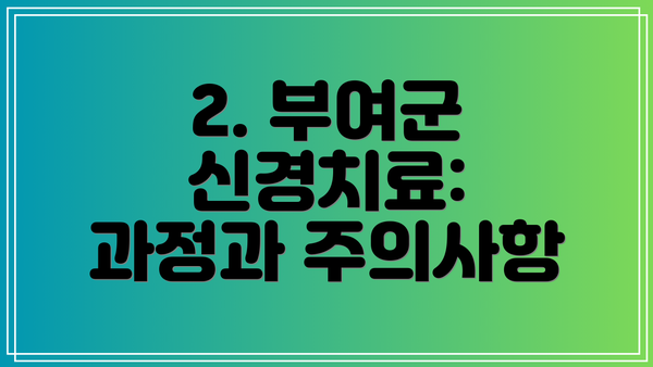 2. 부여군 신경치료: 과정과 주의사항