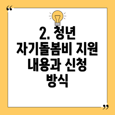 2. 청년 자기돌봄비 지원 내용과 신청 방식