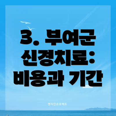 3. 부여군 신경치료: 비용과 기간