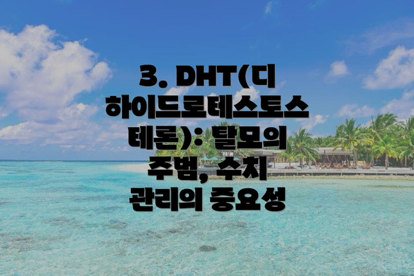3. DHT(디하이드로테스토스테론): 탈모의 주범, 수치 관리의 중요성