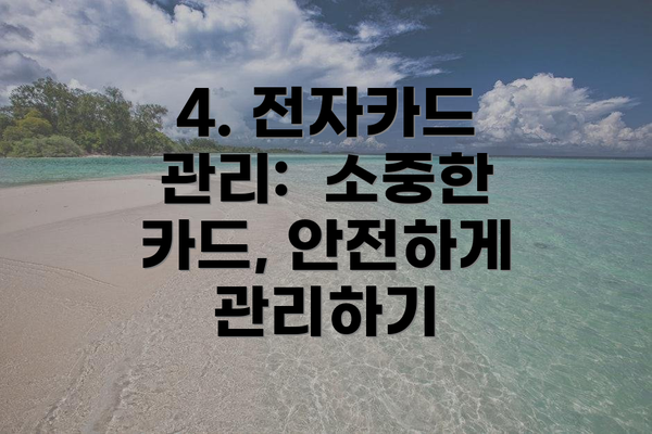 4. 전자카드 관리:  소중한 카드, 안전하게 관리하기