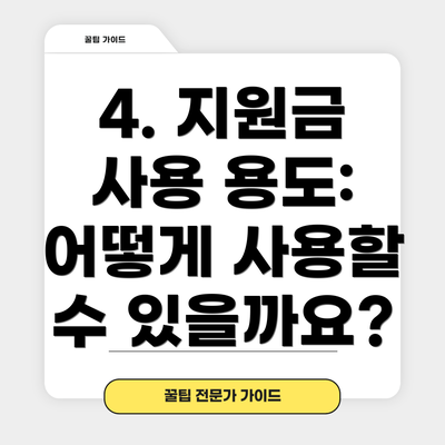 4. 지원금 사용 용도:  어떻게 사용할 수 있을까요?