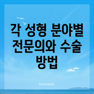 각 성형 분야별 전문의와 수술 방법
