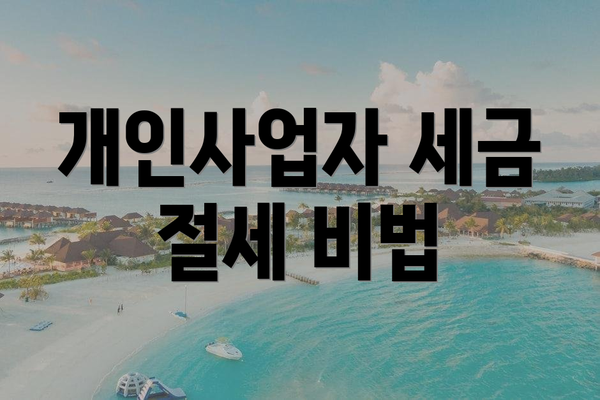 개인사업자 세금 절세 비법