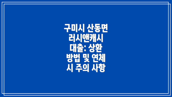구미시 산동면 러시앤캐시 대출 요약표