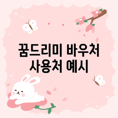 꿈드리미 바우처 사용처 예시