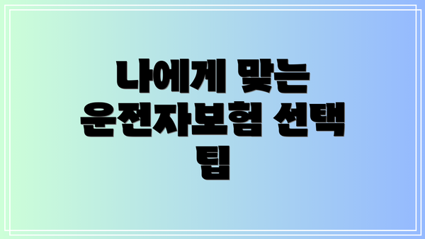 나에게 맞는 운전자보험 선택 팁