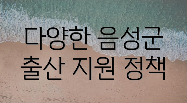 다양한 음성군 출산 지원 정책