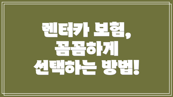 렌터카 보험, 꼼꼼하게 선택하는 방법!
