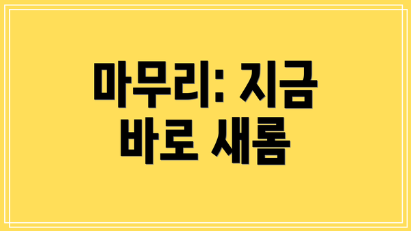 마무리: 지금 바로 새롬