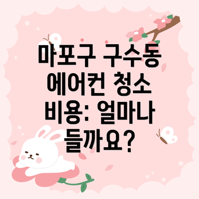 마포구 구수동 에어컨 청소 비용: 얼마나 들까요?