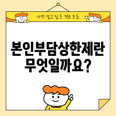 본인부담상한제란 무엇일까요?